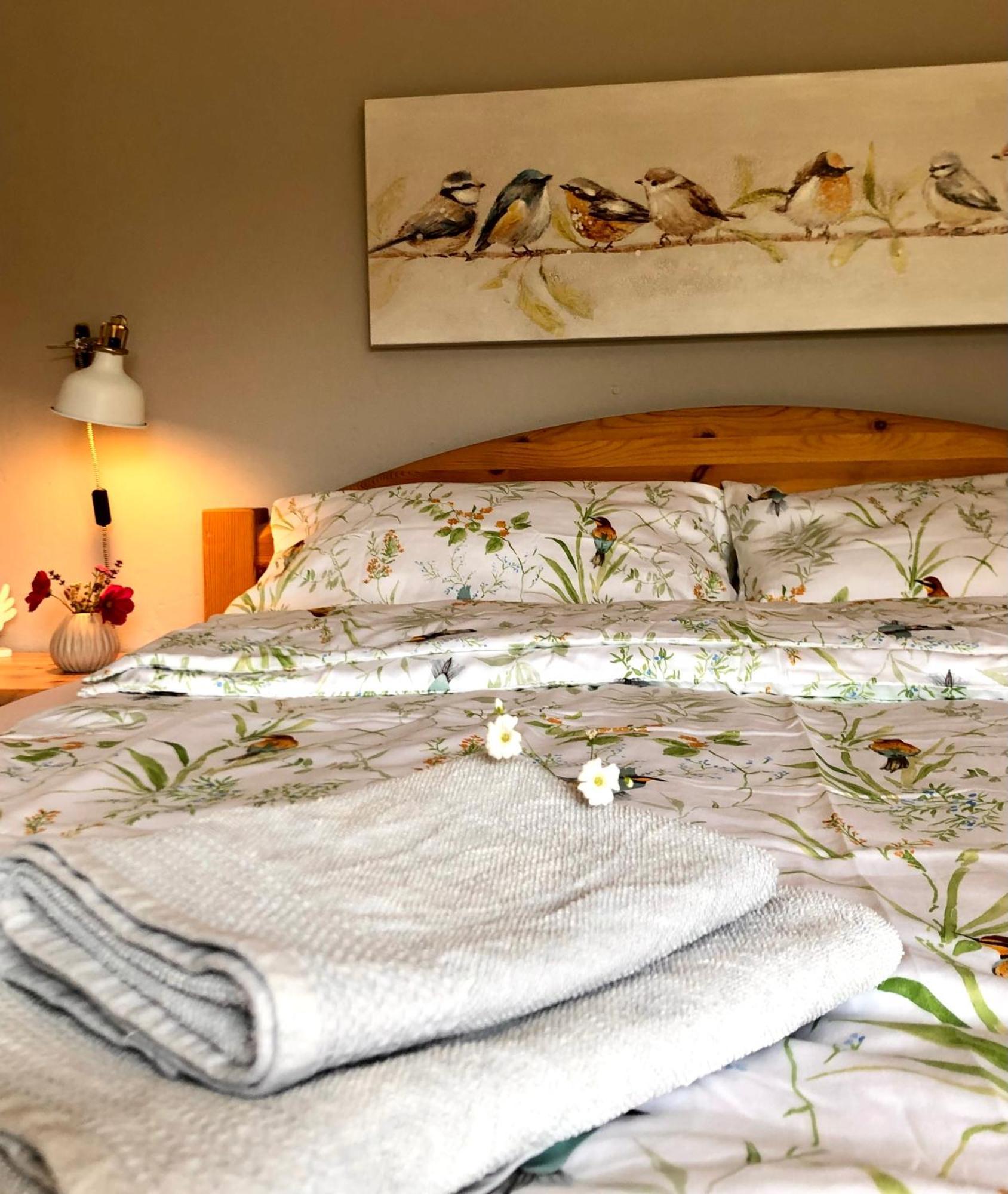 Ferienwohnung Elbsegler เบลคเคอเดอ ภายนอก รูปภาพ